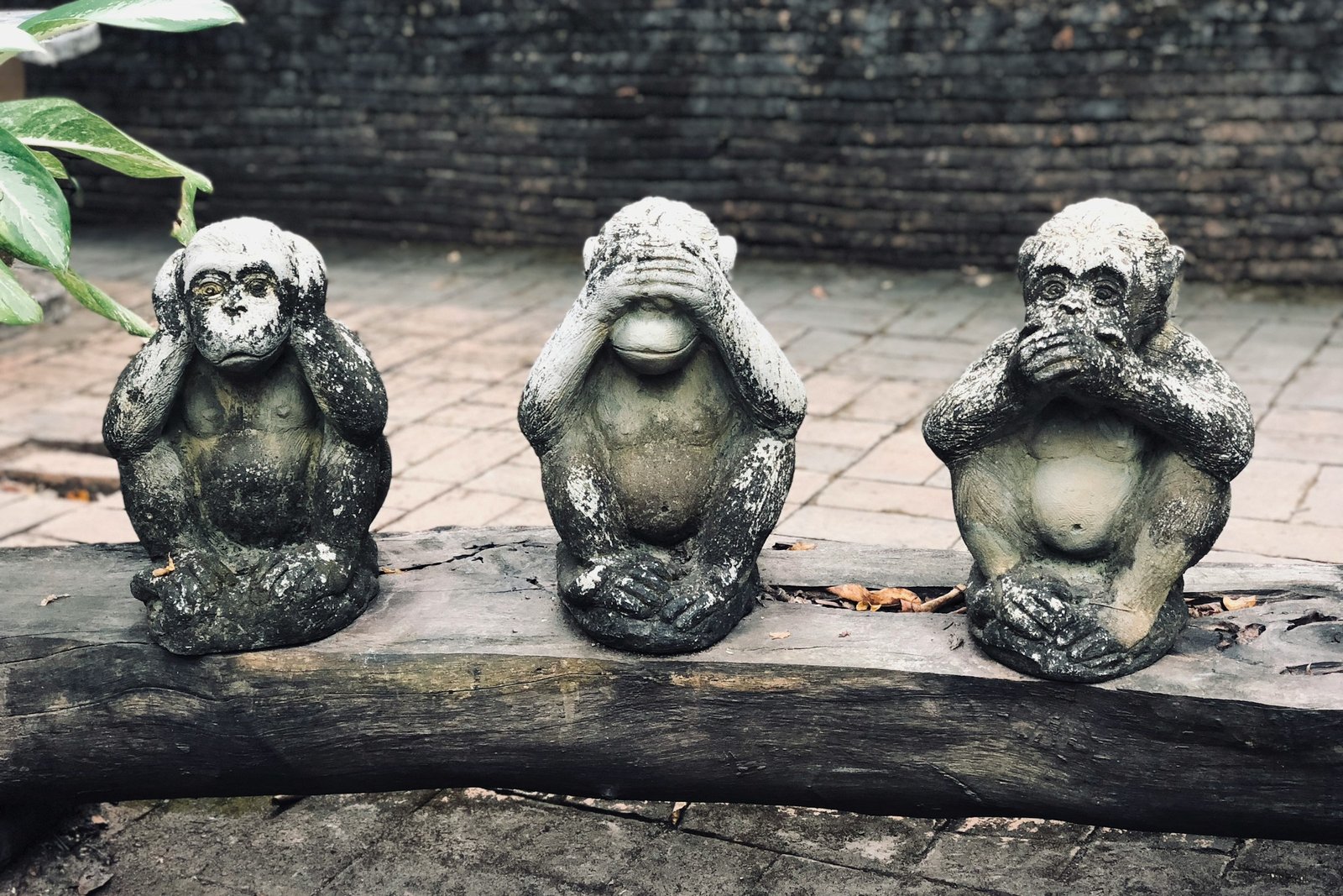 Photo of the three apes of wisdom, symbolizing indifference and refusal to see the dangers of the far right - Photo by Joao Tzanno on Unsplash